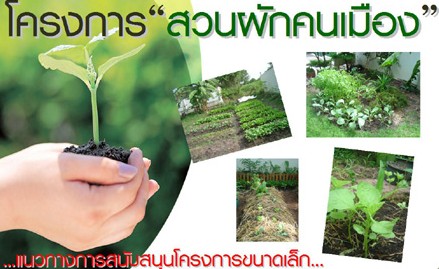 โครงการปลูกพืชผักสวนคนเมือง