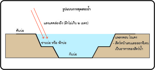 แนะการขุดบ่อเลี้ยงปลาในพื้นที่จำกัด อย่างไรถึงคุ้มสุด