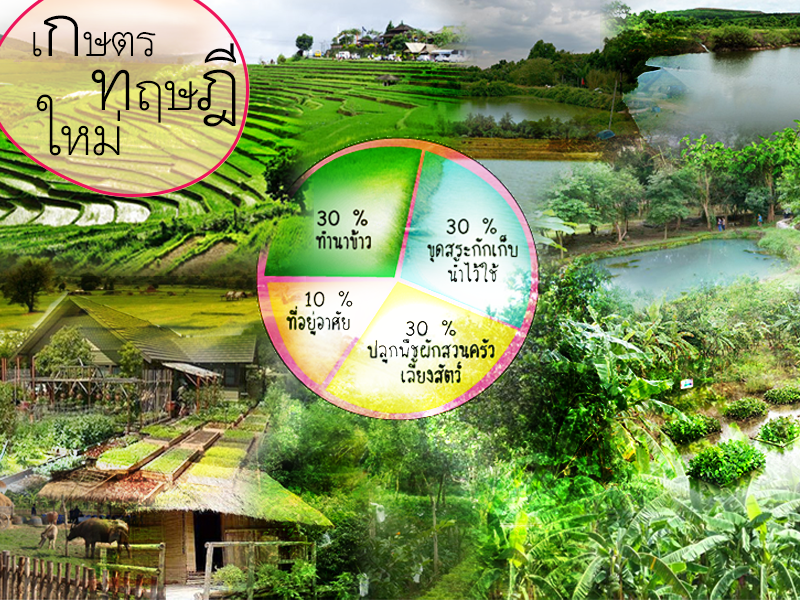 การทำเกษตรทฤษฎีใหม่