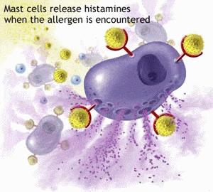 สารฮิสตามีน Histamine ที่ก่อให้เกิดโรค อาหารเป็นพิษ