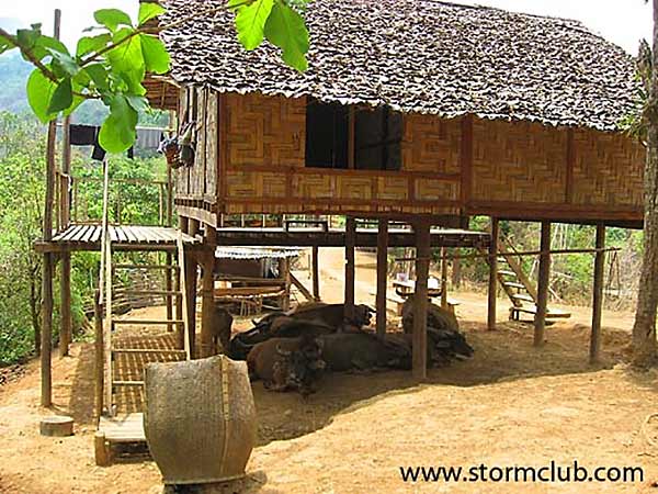 การทำเกษตรทฤษฎีใหม่